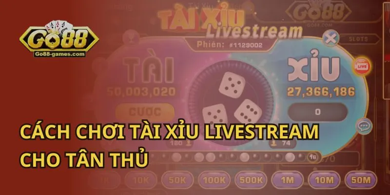 Cách Chơi Tài Xỉu LiveStream Cho Tân Thủ